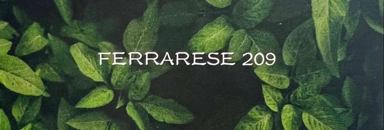 شقة Ferrarese209 بولونيا المظهر الخارجي الصورة